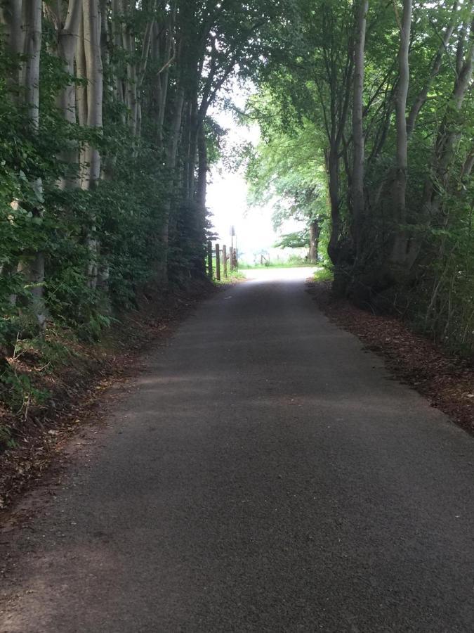 Terrasse De Malmedy Malmedy Nature 338 מראה חיצוני תמונה
